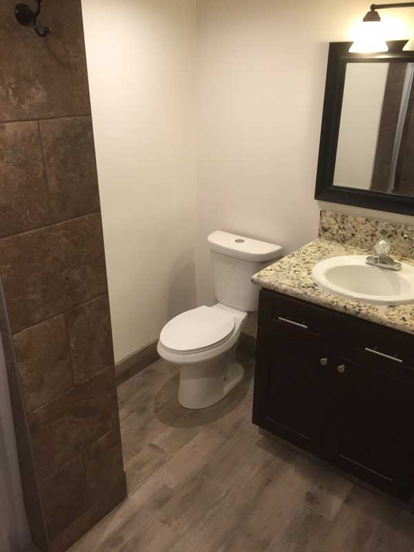 Basement Bathroom Remodel